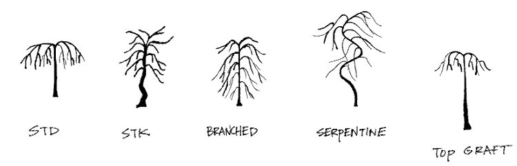 Bountiful Farms | Resources